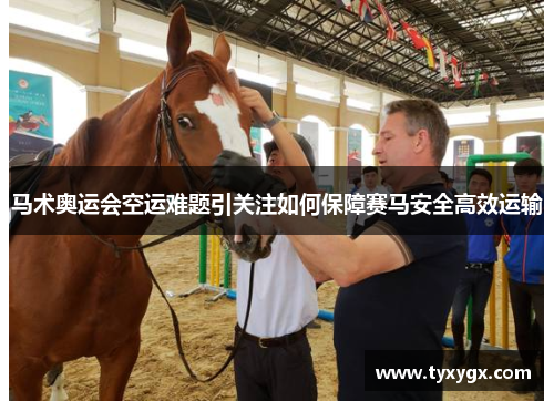 马术奥运会空运难题引关注如何保障赛马安全高效运输